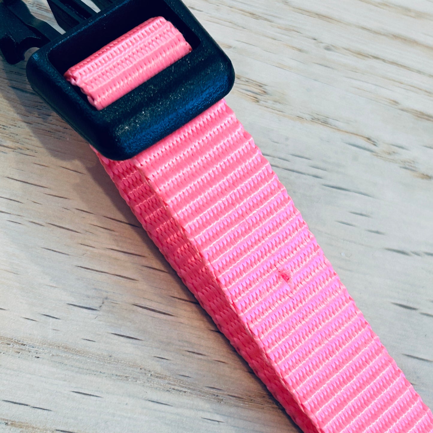 Colliers pour chien mm