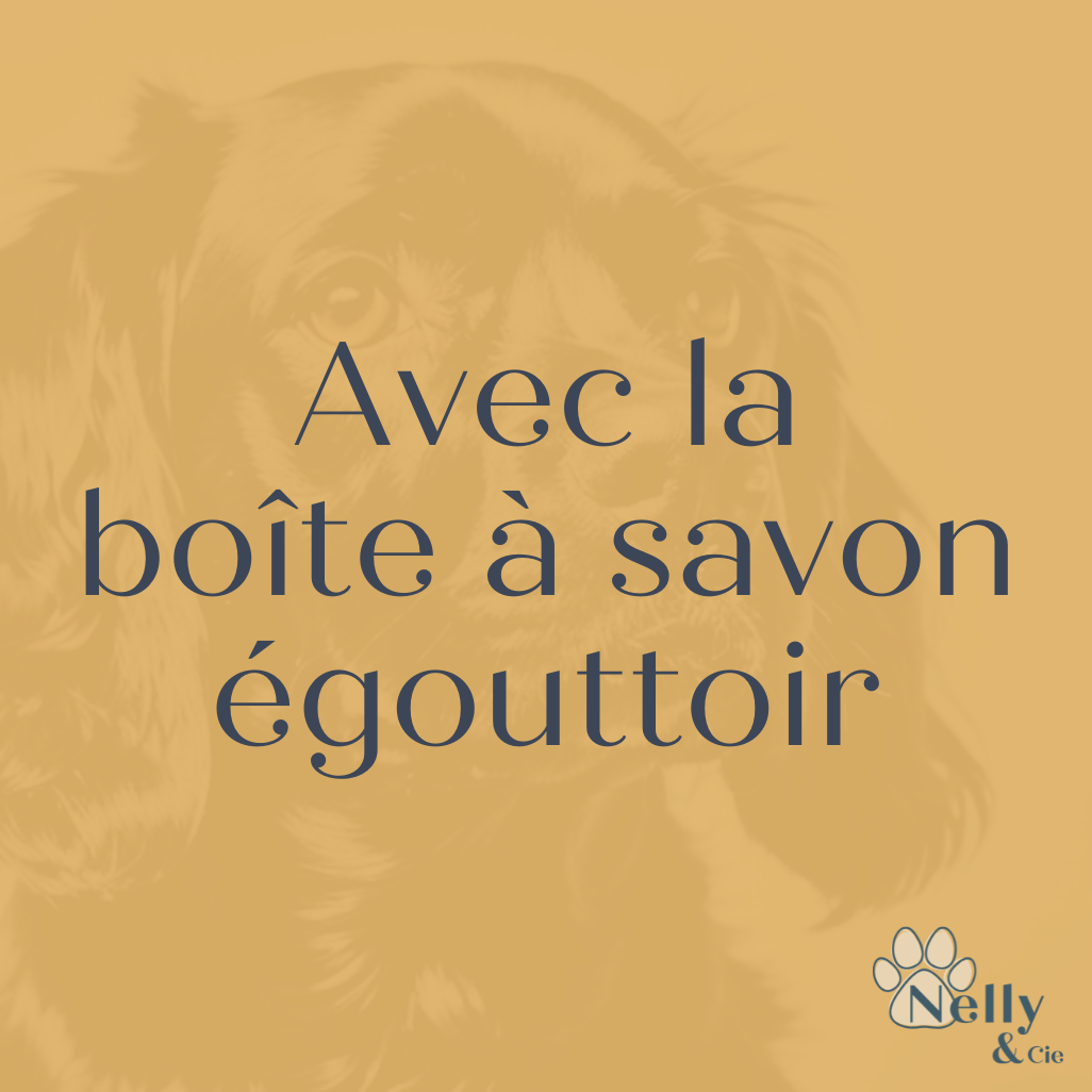 Avec la boîte à savon égouttoir