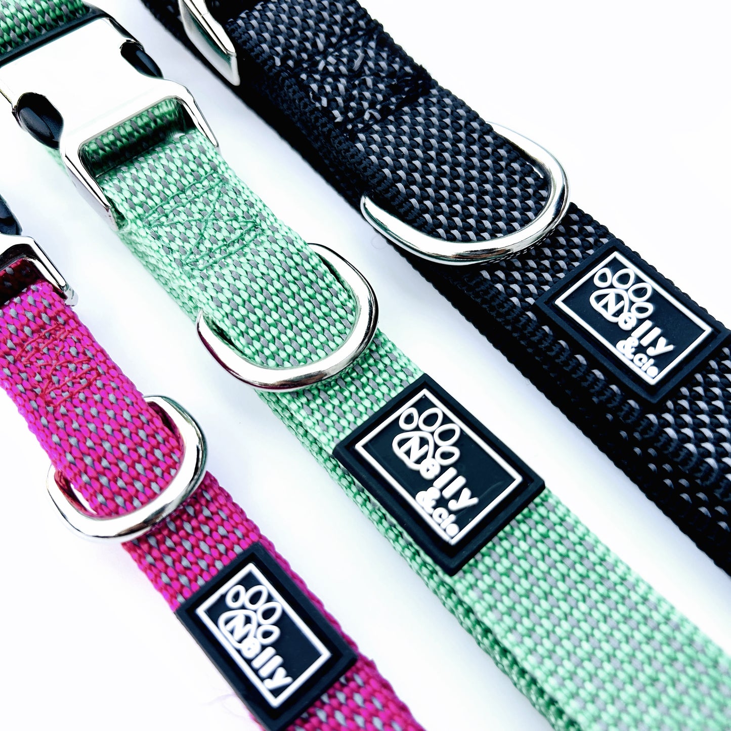 Collier chien réfléchissant turquoise