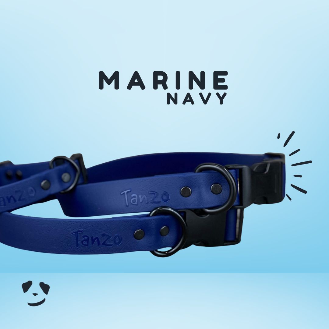 Collier ajustable à clip