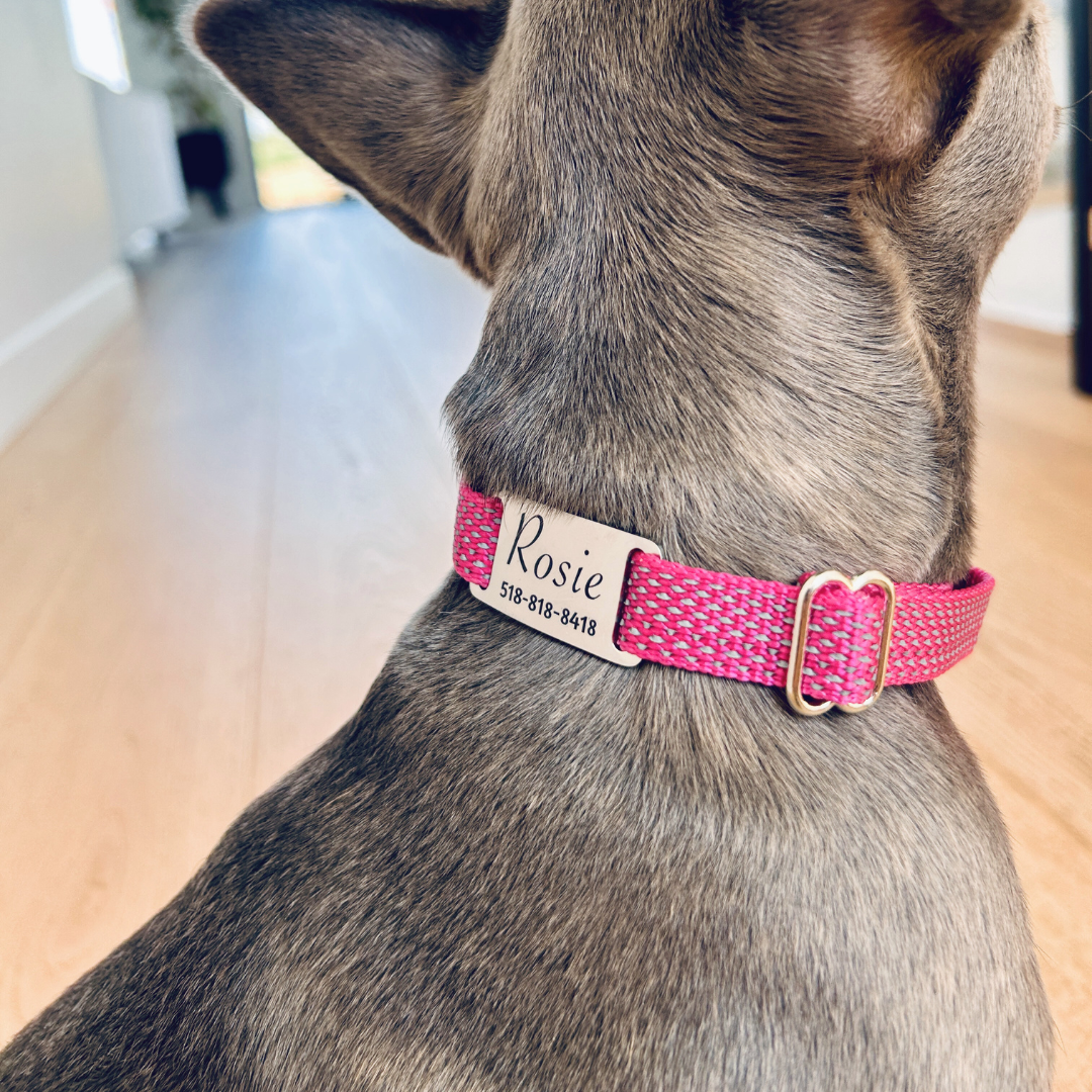 Médaille personnalisée pour animaux de compagnie