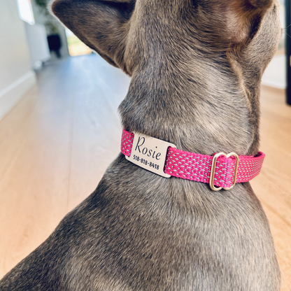 Médaille personnalisée pour animaux de compagnie