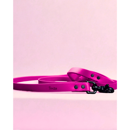 Laisse pour chien en biothane