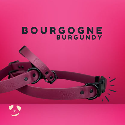 Collier ajustable à clip