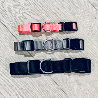 Colliers pour chien mm