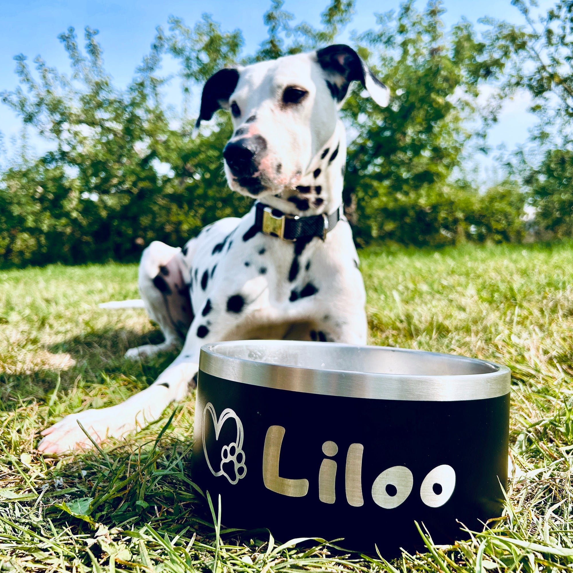 Personalized black dog and cat bowl