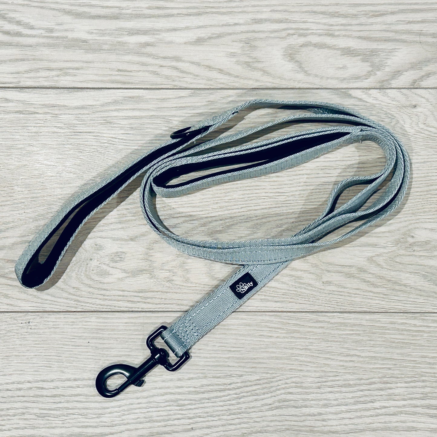 Laisses double poignées