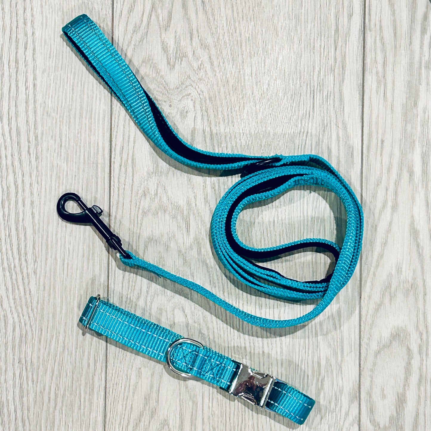 Laisse et collier assorties