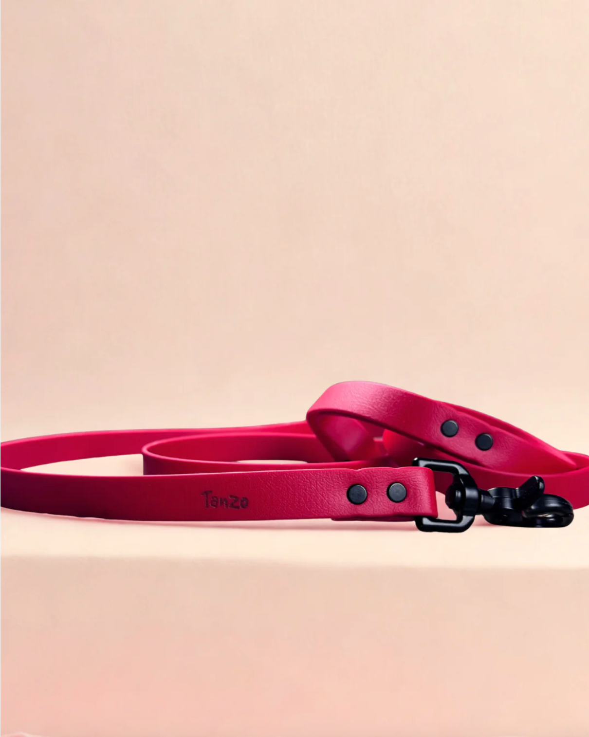 Laisse pour chien en biothane