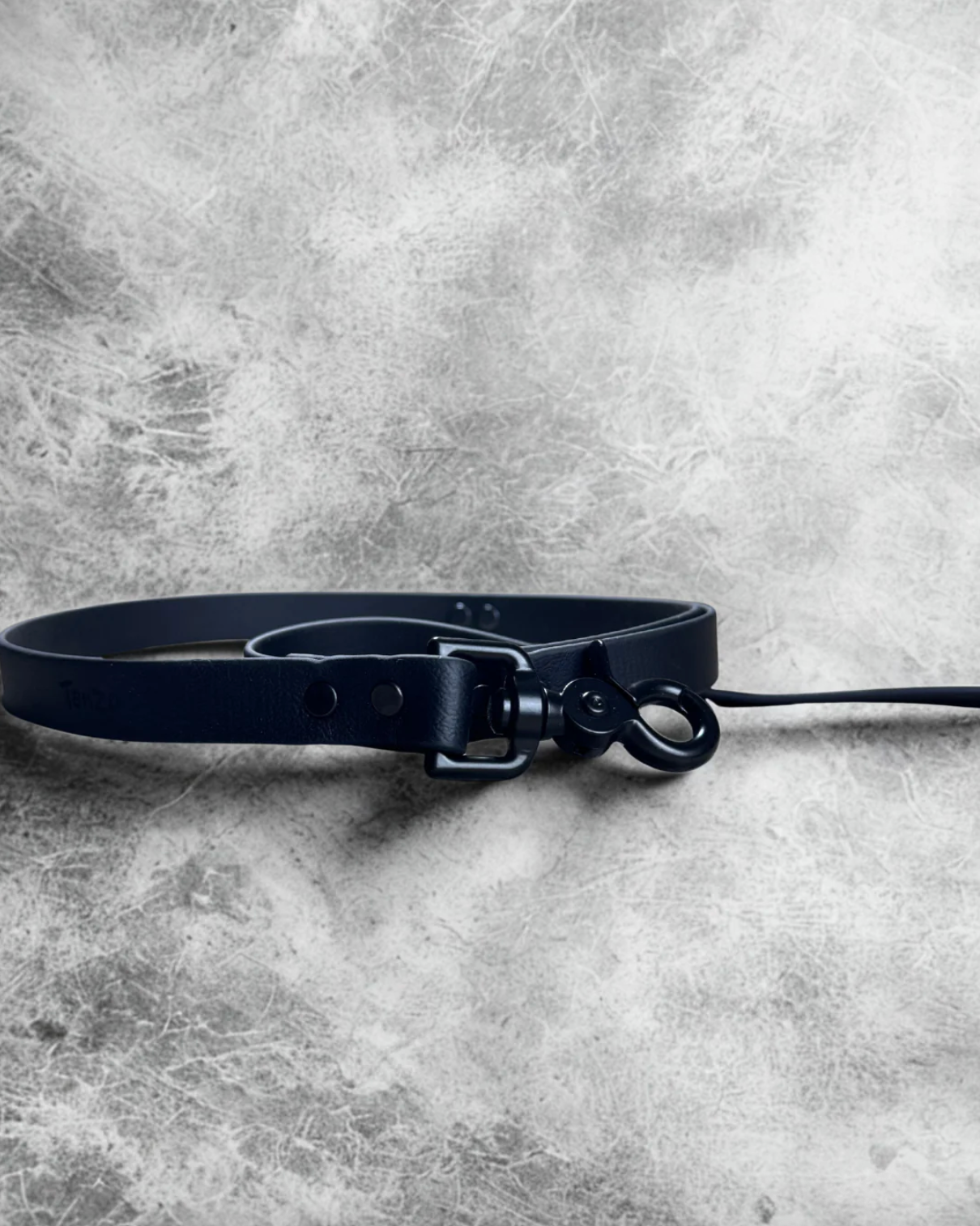 Laisse pour chien en biothane