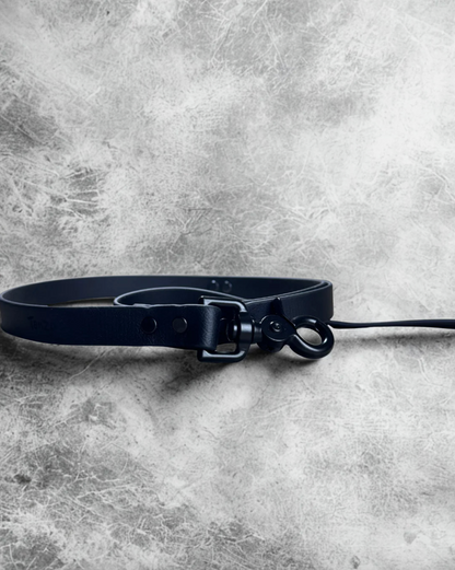 Laisse pour chien en biothane