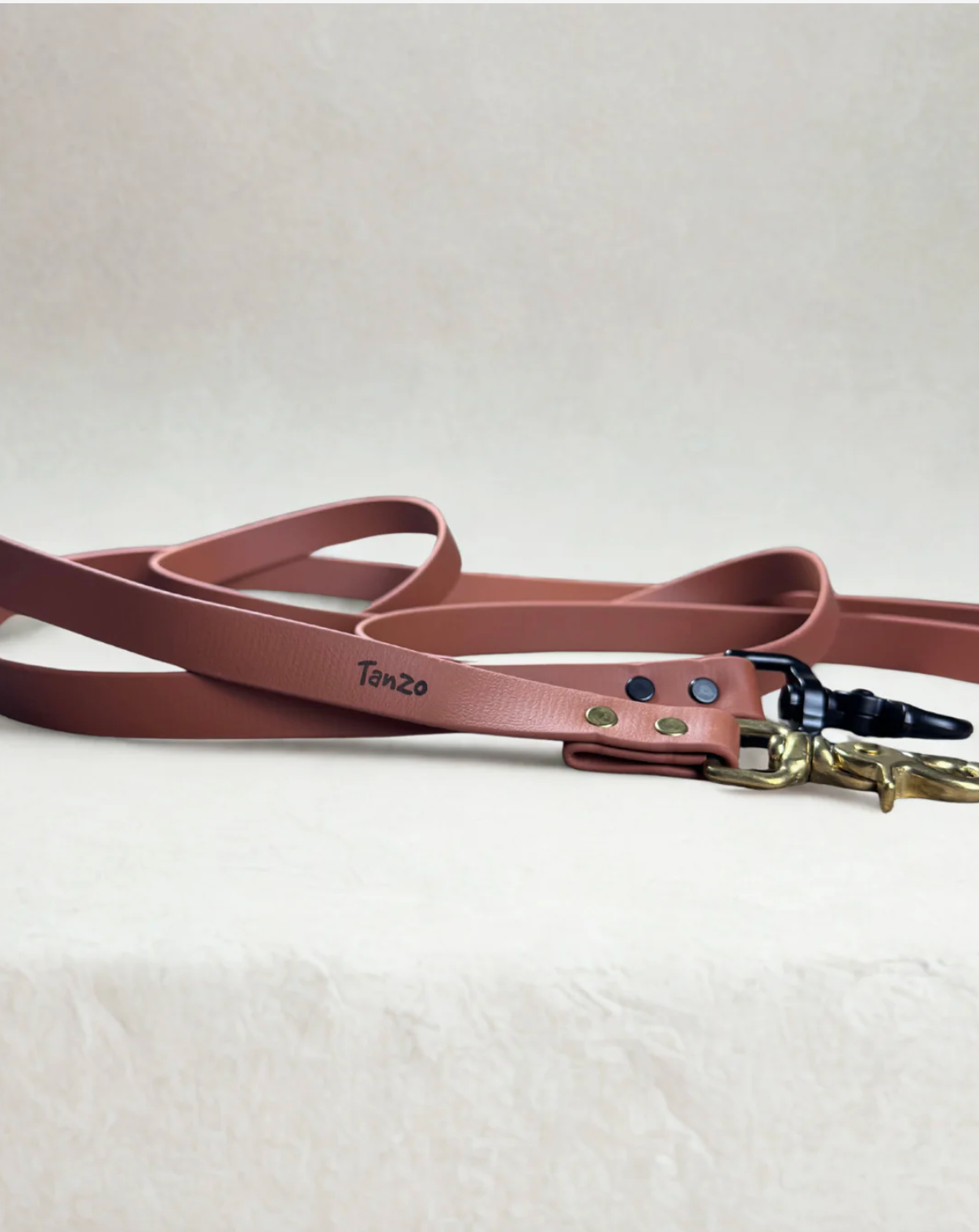 Laisse pour chien en biothane