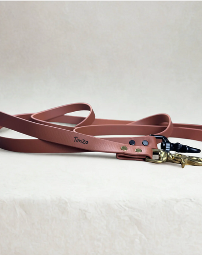 Laisse pour chien en biothane