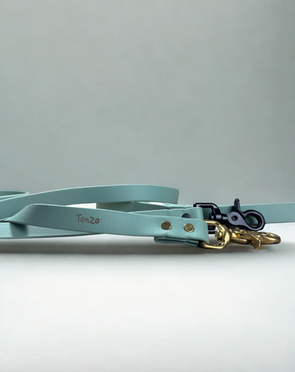 Laisse pour chien en biothane