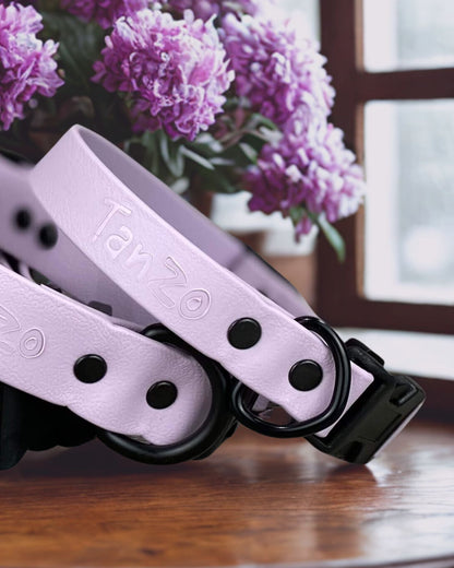 Collier ajustable à clip