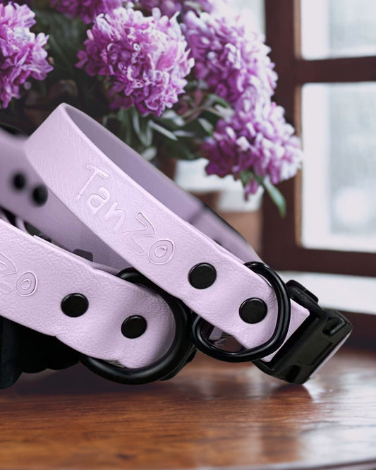 Collier ajustable à clip