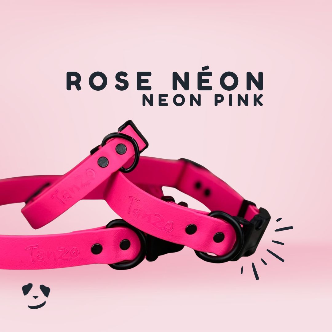 Collier ajustable à clip