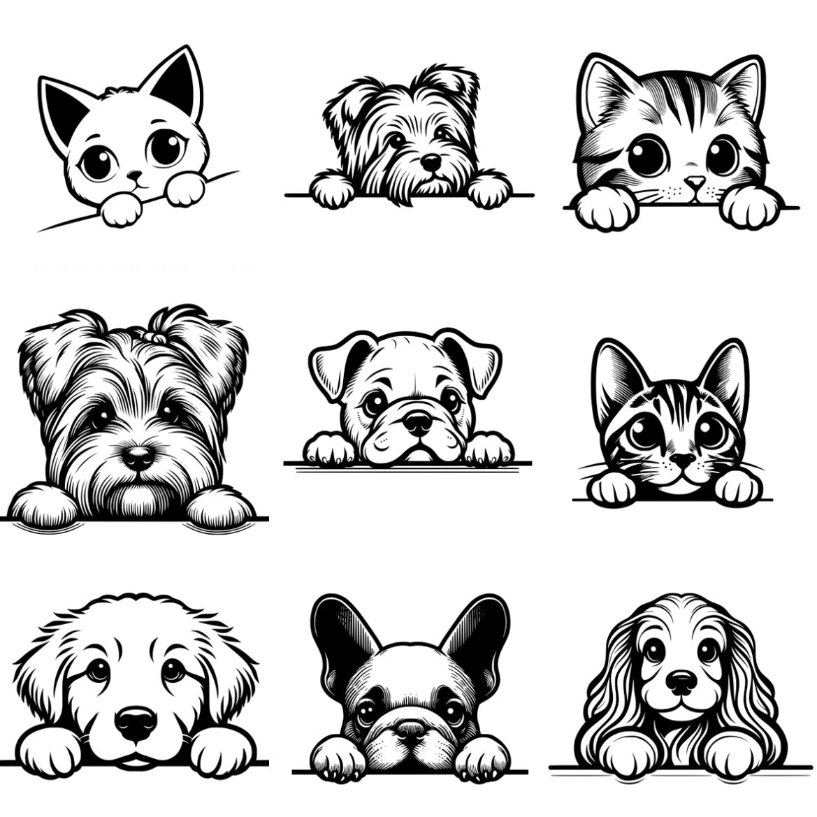 Personalized gray dog ​​and cat bowl