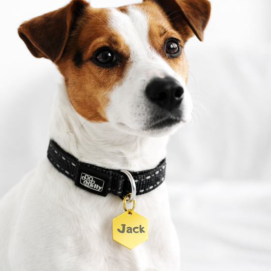 Médaille hexagone personnalisée