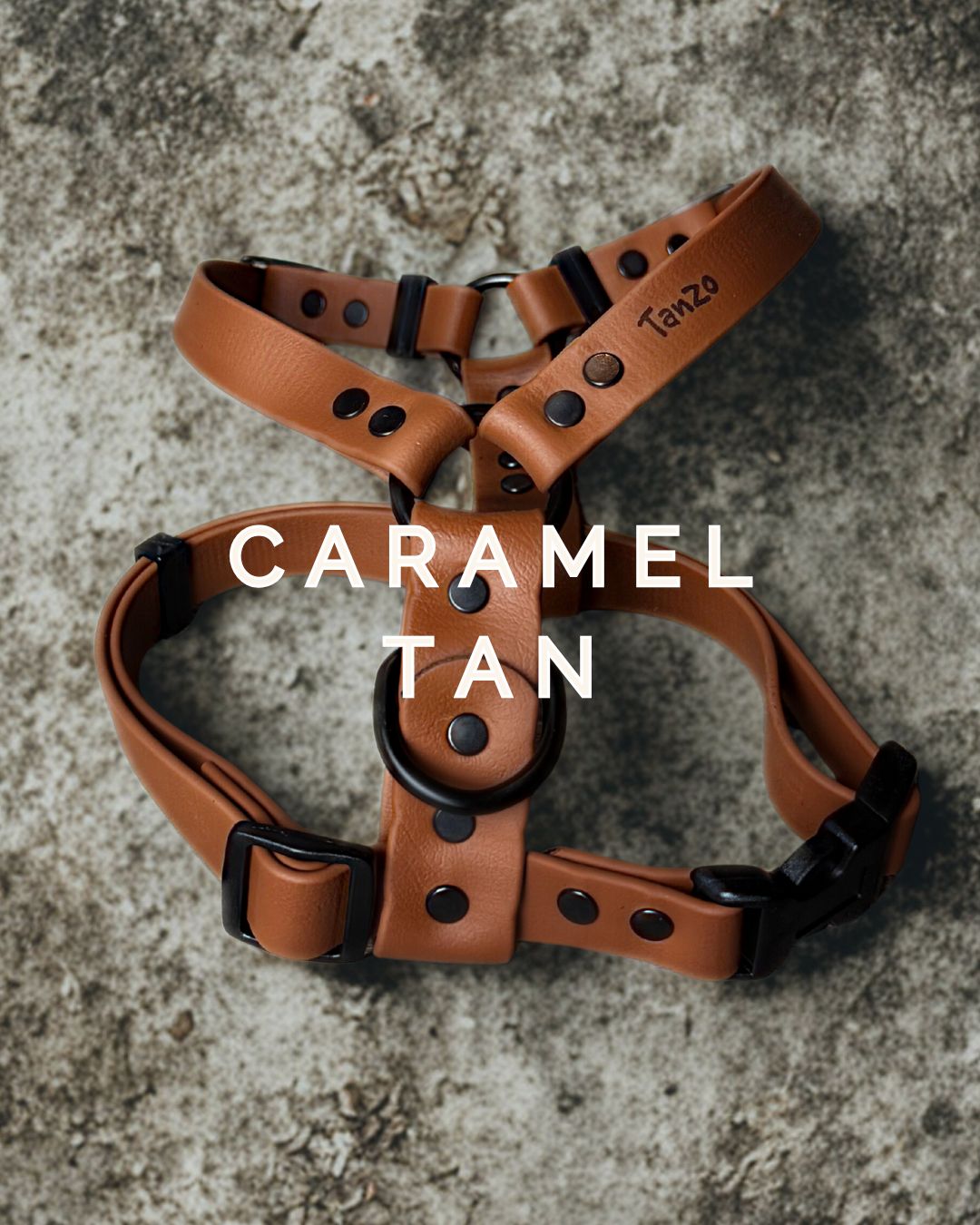 Harnais pour chien en biothane ajustable