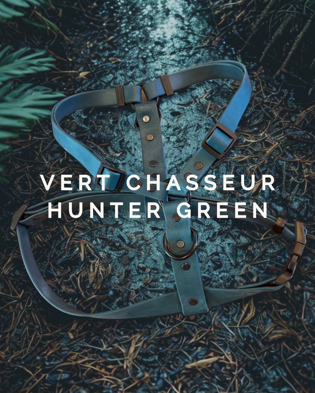 Harnais pour chien en biothane ajustable