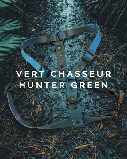 Harnais pour chien en biothane ajustable