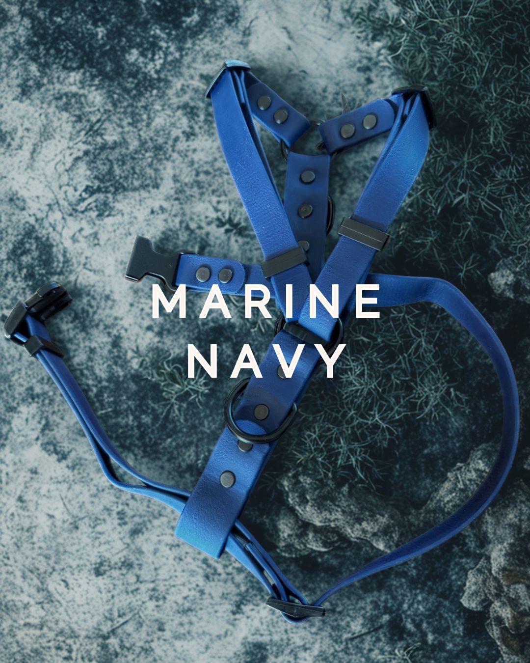 Harnais pour chien en biothane ajustable