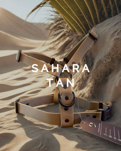 Harnais pour chien en biothane ajustable