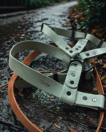 Harnais pour chien en biothane ajustable