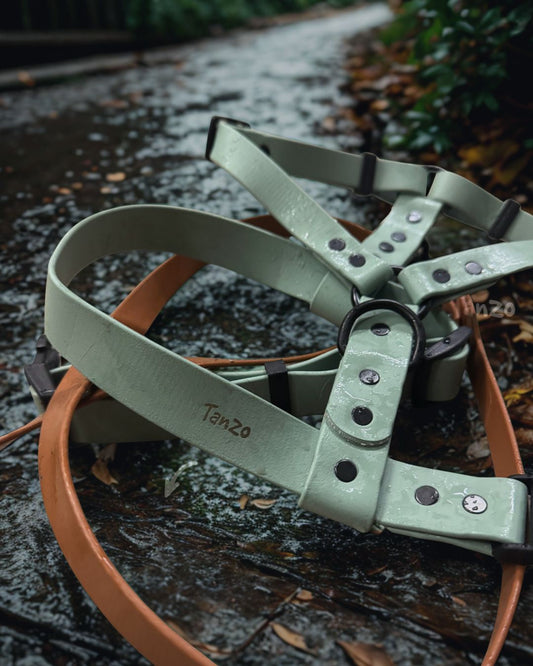 Harnais pour chien en biothane ajustable