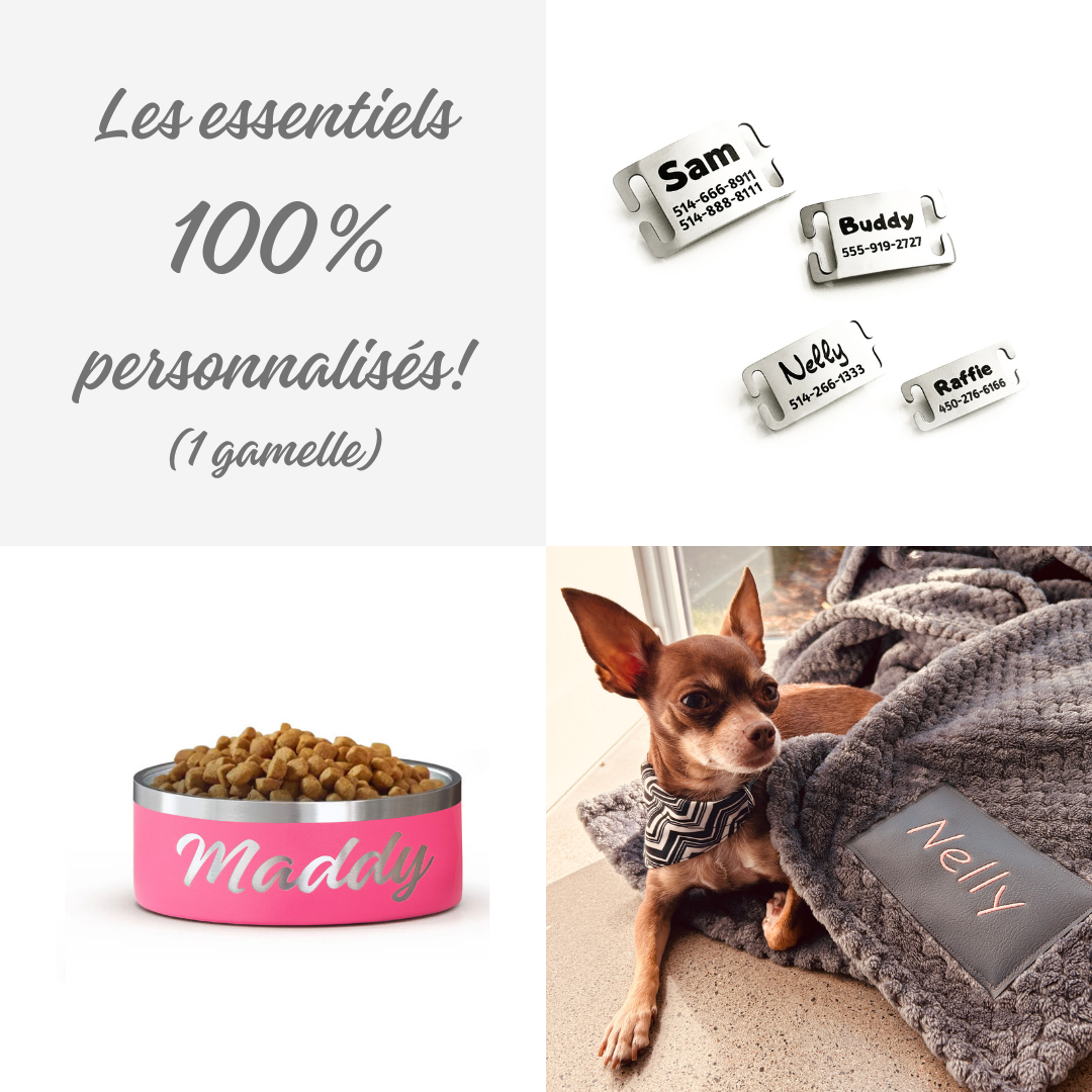 Les essentiels 100% personnalisés (1 gamelle)