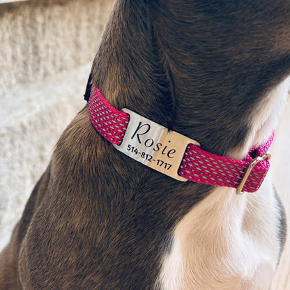 Médaille personnalisée pour animaux de compagnie