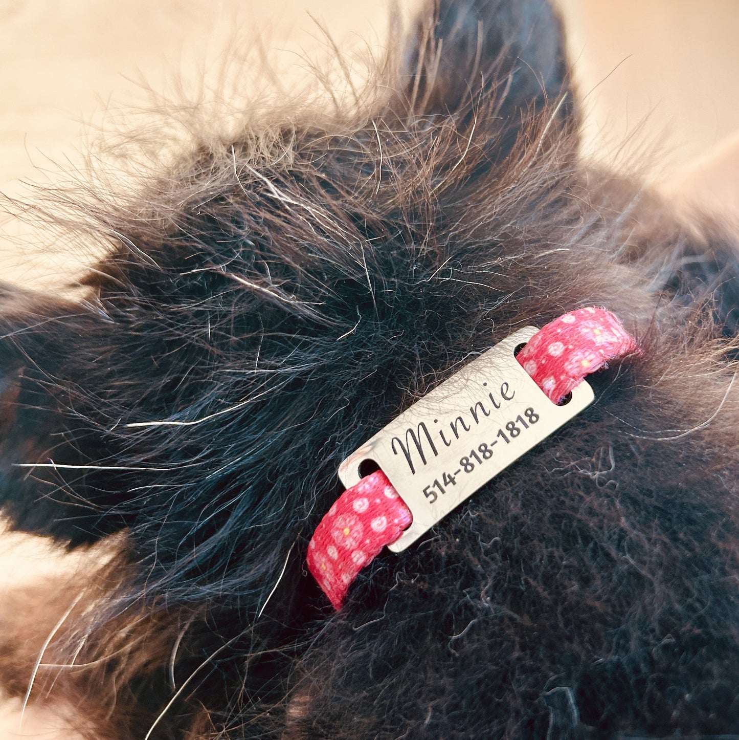 Médaille personnalisée pour animaux de compagnie