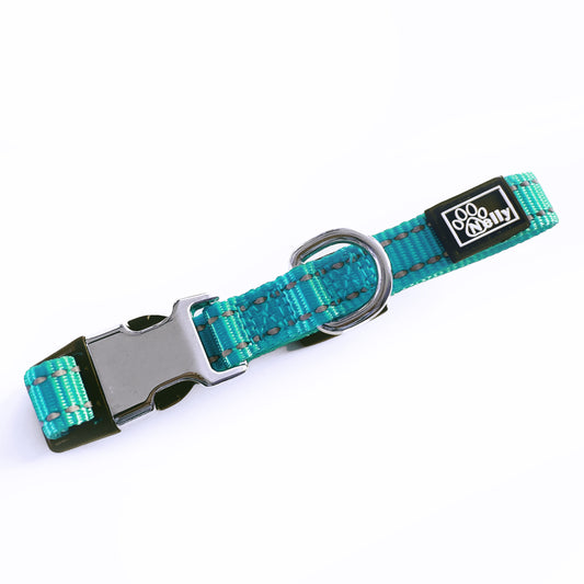 Petit Collier Réfléchissant Turquoise Personnalisé pour Chiens et Chats