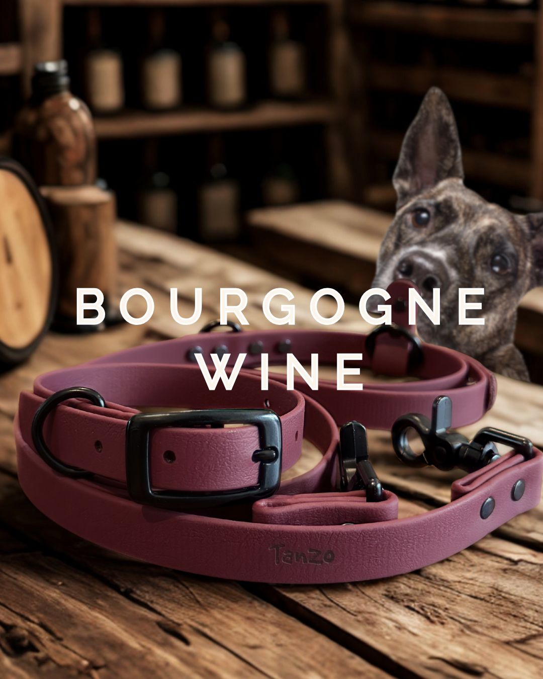 Laisse pour chien en biothane