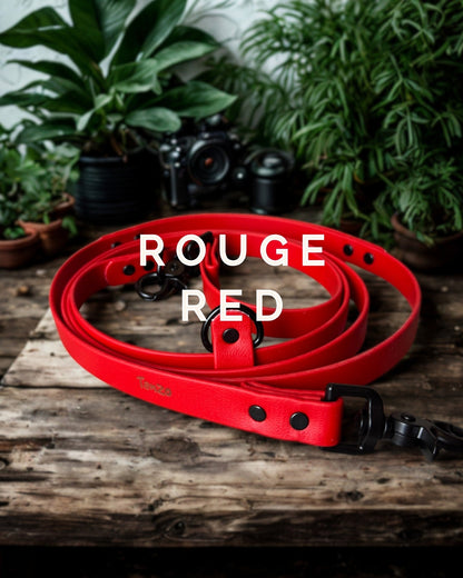 Laisse mains-libres 5 en 1