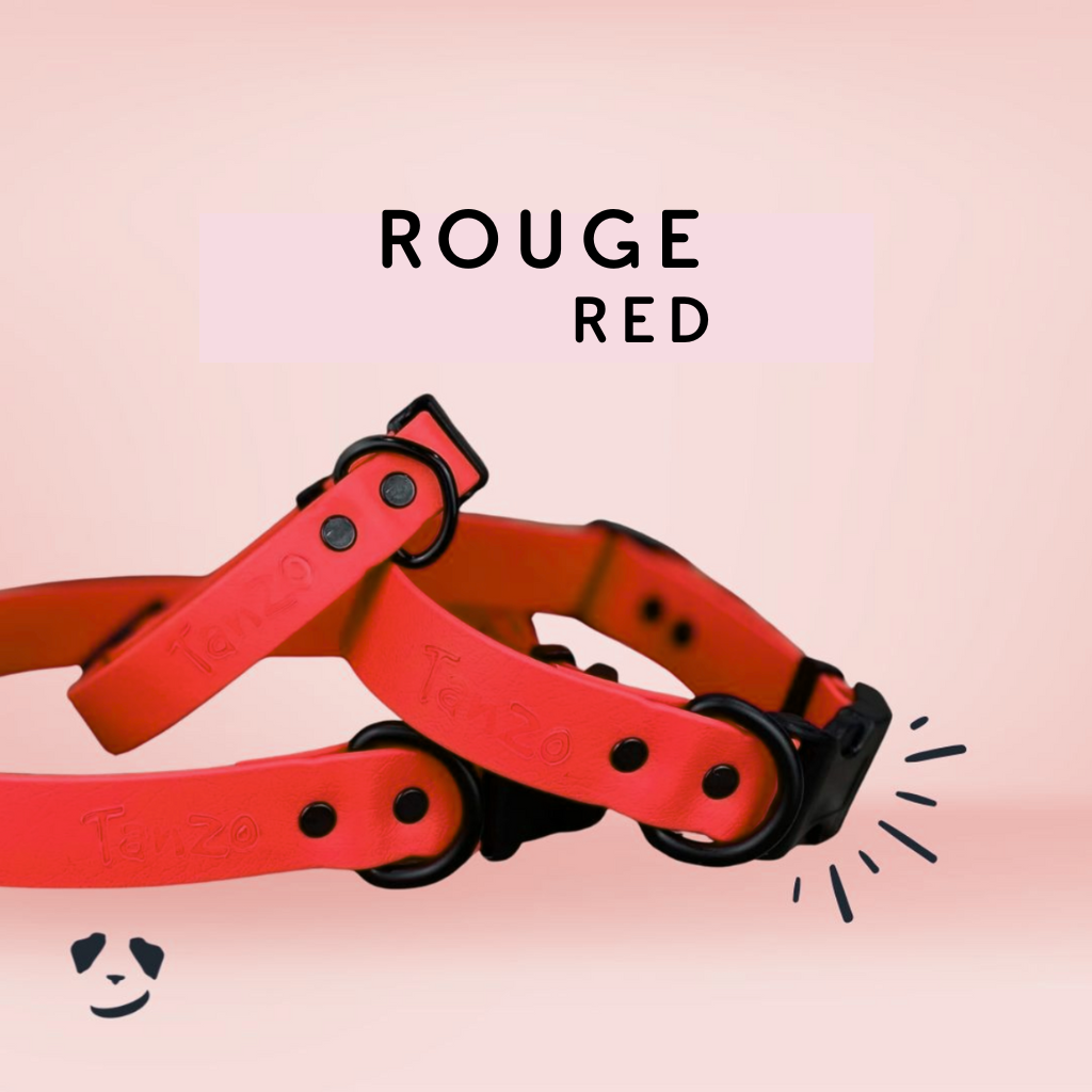 Collier ajustable à clip