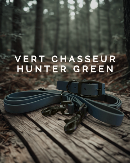 Laisse pour chien en biothane