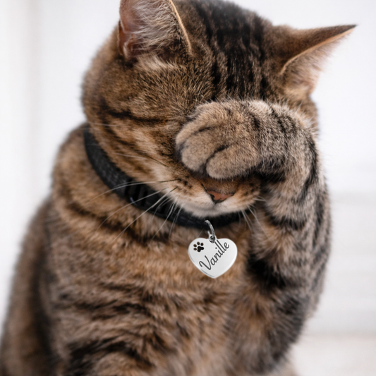 Médaille coeur personnalisée