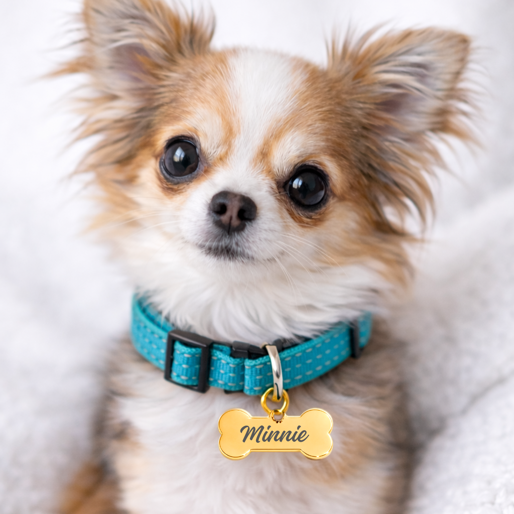 Personalized Engraved Pet Tag