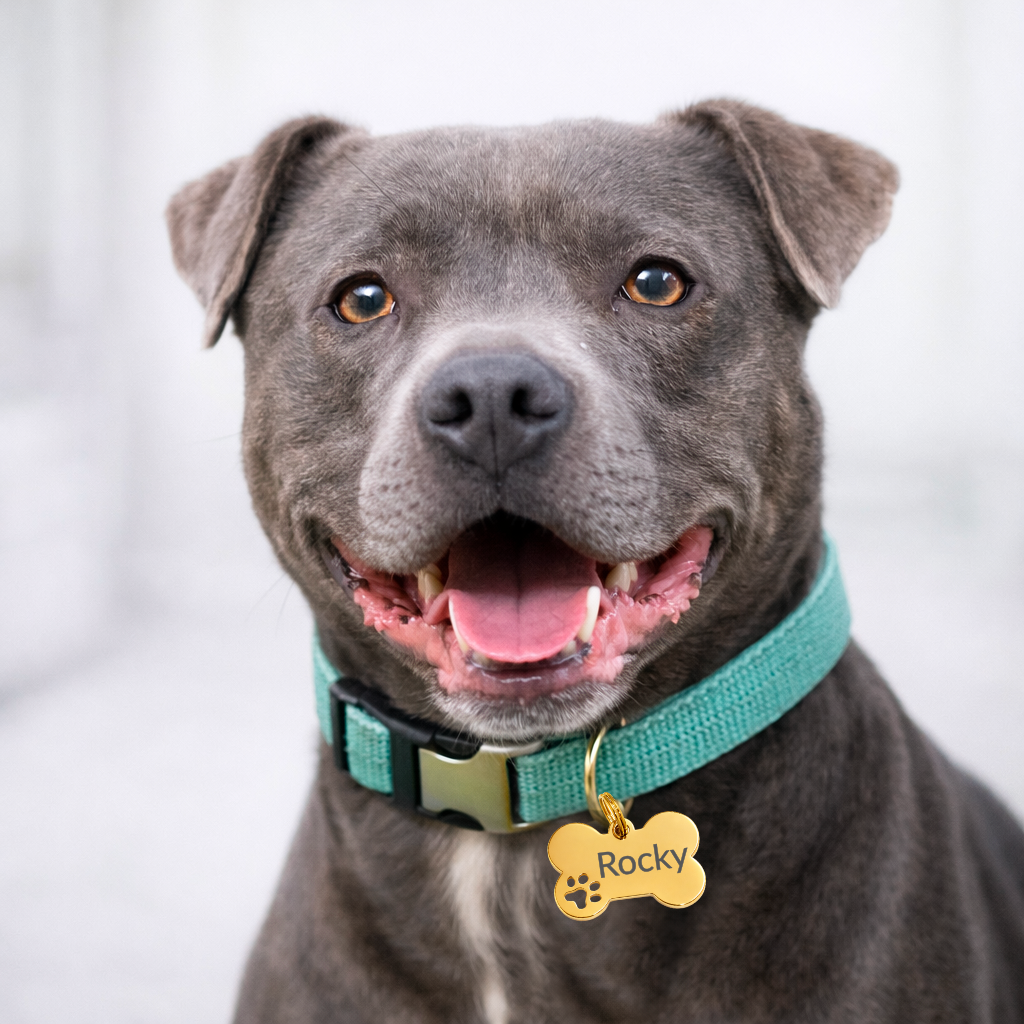 Médaille os personnalisée (2 tailles)