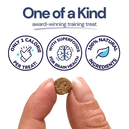 Mini Gâteries d'Entraînement (Boeuf)