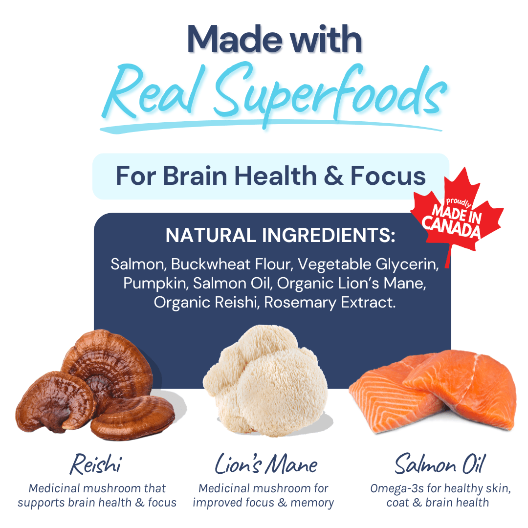 Mini Gâteries d'Entraînement (Saumon Sauvage)